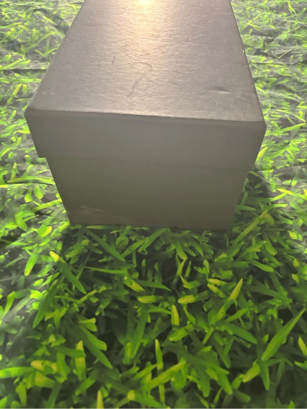 Balenciaga Black Shoe Box